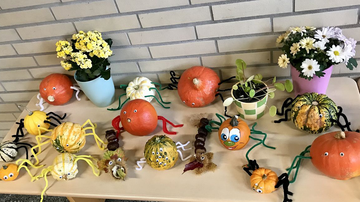 lustig gestaltete Kürbisse aller Sorten